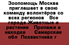 Зоопомощь.Москва приглашает в свою команду волонтёров со всех регионов - Все города Животные и растения » Пропажи и находки   . Самарская обл.,Похвистнево г.